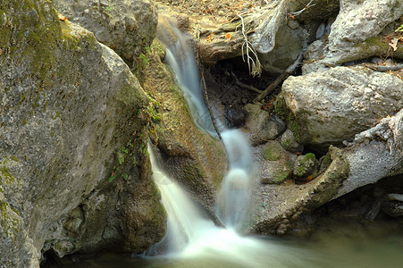 小型瀑水绿色荒野白色溪流耳语木头跑步石头环境岩石图片