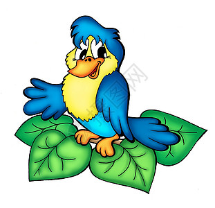 卡通小鸟鸟儿坐在树枝上羽化动物野生动物微笑生活插图羽毛树叶翅膀叶子背景