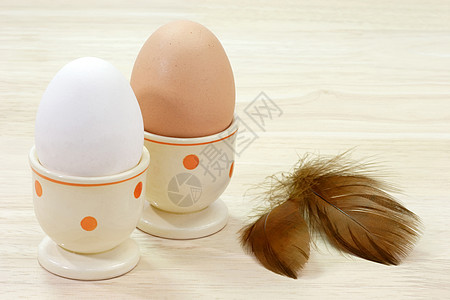 早餐鸡蛋蛋壳营养棕色食物母鸡羽毛白色背景图片