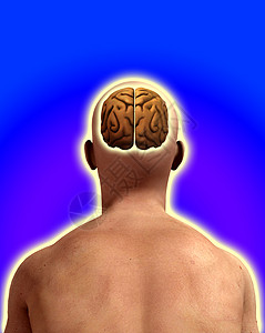 男性脑部坡度想像力智力男人器官思维脑力卫生专注皮肤图片