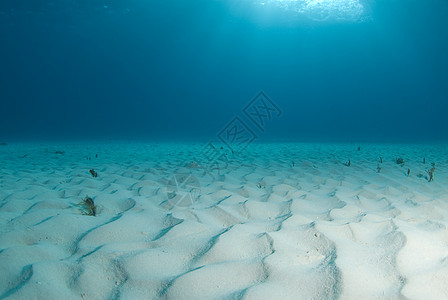 虎滩海景涟漪蓝色盐水海水波浪海洋太阳地面图片