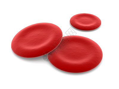 血红素细胞圆形解剖学宏观身体红细胞医疗血流细胞生物血管图片