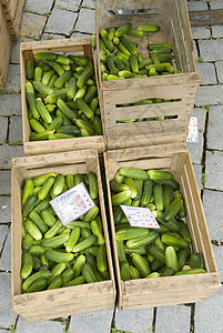 露天农民市场的黄瓜背景图片