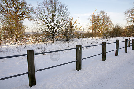 冬天农村场地公园树木降雪场景暴风雪雪景季节国家图片