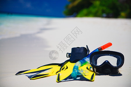 海滩上戴有鳍的潜水面罩风景追求棕榈游客面具热带海景享受脚蹼游泳图片