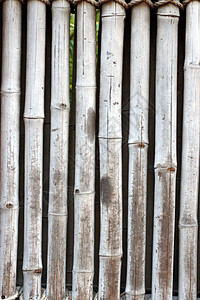 竹布墙管道绳索木头绑定热带棕色丛林栅栏植物柳条图片