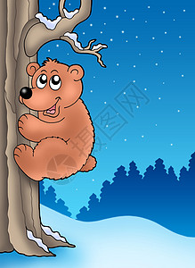 可爱熊攀爬树图片
