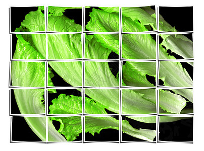 生菜叶胃口作品沙拉数字化照片花园植被植物饮食团体图片