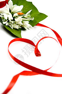 雪滴庆典红色问候语卡片假期丝带白色浪漫纺织品婚礼图片