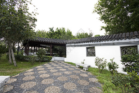 带有树木和植物的中国风格花园建筑房子艺术禅意生长树叶小路园艺爱好盆栽图片