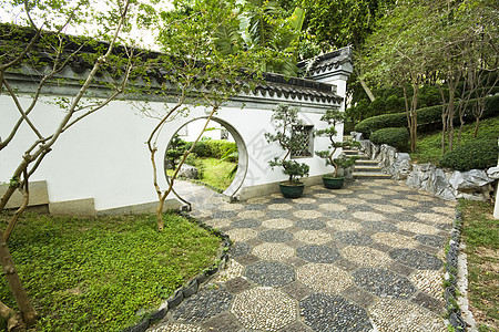带有树木和植物的中国风格花园禅意园艺房子树叶爱好生长盆栽环境文化艺术图片