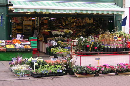 花店商业零售市场蔬菜街道植物群销售展示花朵水果图片