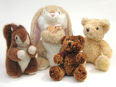 毛毛朋友哺乳动物头发害虫四边形玩具乐趣兔子朋友们四重奏动物图片