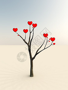 爱之树浪漫心形情感热情概念红色情绪化机构图片