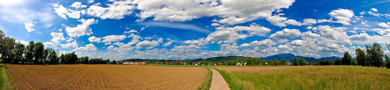 来自德国黑色森林的全景 靠近弗赖堡(Freiburg)图片