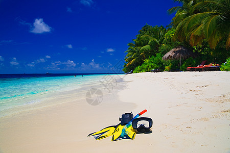 海滩上戴有鳍的潜水面罩管子海景风景追求爱好热带天空旅游脚蹼游客图片