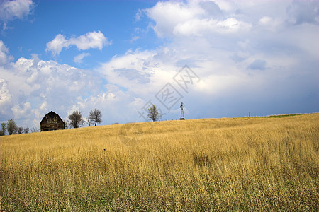 国家办事处风景国家生长土地植物稻草地平线农场小麦蓝色图片