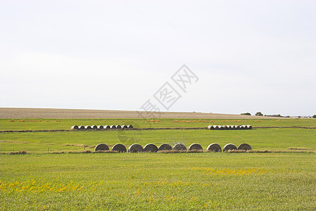 农场景观牧歌地平线环境玉米国家风景生长天气蓝色远景图片