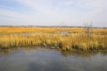 草原湖泊和河流农场天堂环境风景天空远景天气池塘橙子草地背景图片