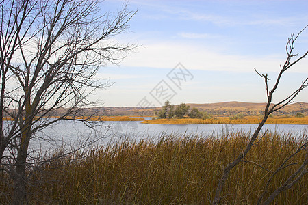 草原湖泊和河流生长牧歌蓝色地平线环境橙子风景场地池塘国家背景图片