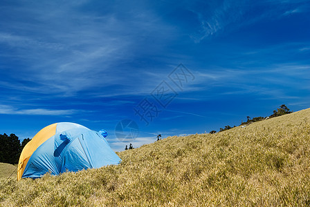 在高山草原上设置特别帐篷公园晴天登山太阳荒野木头环境顶峰森林风景图片