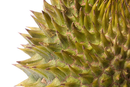 水果特写Durian 宏观营养国王异国甜点饮食情调水果热带食物生产背景