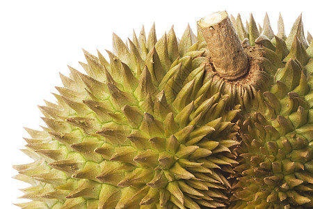 Durian 宏观异国水果建筑饮食荆棘国王甜点生产美味热带图片