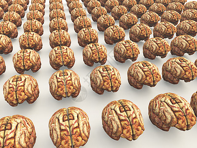 许多大脑想像力团体卫生智力概念智慧下丘脑脑力头脑保健图片