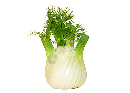 芬内厨房茴香纤维营养白色灯泡水果蔬菜沙拉草药图片