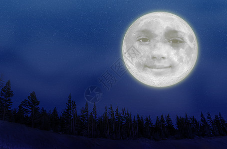 满月月场景森林插图星光艺术品薄雾蓝色月光树木乐趣图片