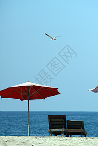 墨西哥埃斯康迪多港海滩遮阳棚温度波浪条纹热带太阳游泳阳光乐趣喜悦图片