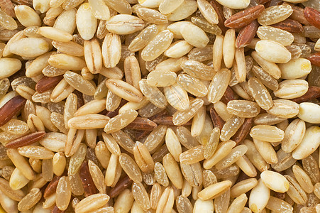 大麦和燕麦大米背景图片