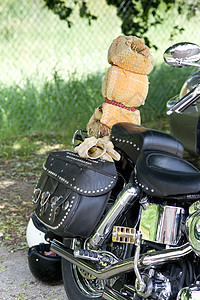 摩托车背面图片