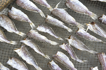 咸鱼干燥盐渍海洋海鲜商业美食生产食物图片