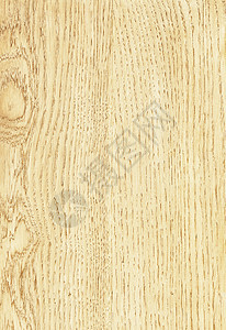 木制面板板木地板扫描家具控制板木纹木头样本摄影地面粮食图片