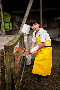 在哥斯达黎加奶制农场工作的年轻男孩男性奶牛牛奶农场塑料靴子小牛孩子男生工人图片