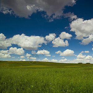 绿草地太阳远景场景土地牧场天气环境场地国家天空图片