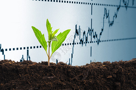 增长经济的增速经济储蓄种子商业绿色创新生态贷款金融创造力农业图片