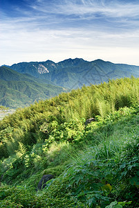 丰富多彩的山地景观地平线旅游场地顶峰场景风景环境植物蓝色草原图片