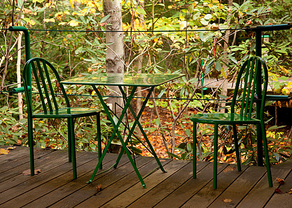 绿桌和椅子森林高科技房间林地绿色合金树木露台阴影咖啡店图片