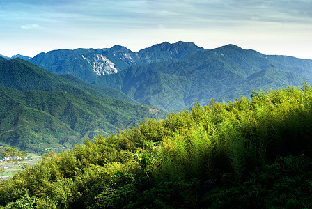 丰富多彩的山地景观植物环境木头顶峰岩石草原爬坡国家蓝色高地图片