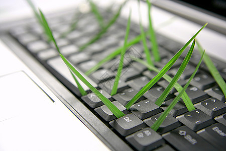 从计算机键盘中生长的草 隐喻笔记本草地植物桌面天空电脑美丽生活互联网商业图片