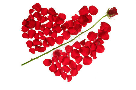 红玫瑰花瓣中的丘比箭 心脏形状美丽婚姻已婚礼物婚礼合伙邀请函约会情人假期图片