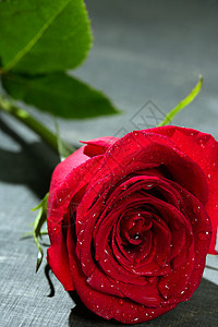 红玫瑰宏在黑黑木上装饰庆典风格木材松树材料玫瑰地面木板花朵图片