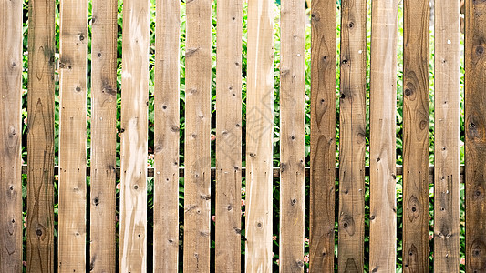 绿色花园前的棕褐色调子障碍指甲栅栏松树农场木工院子木板国家叶子图片