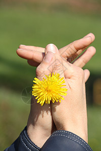 手与花女士女性植物群抛光指甲手镯美甲背景图片