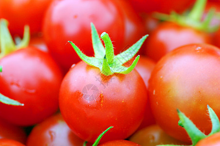 红番茄樱桃 樱桃西红柿特配生产团体水果午餐植物烹饪饮食食物蔬菜市场图片