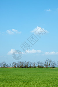 外地环境农村土地国家草地植物天空农业平原蓝色图片