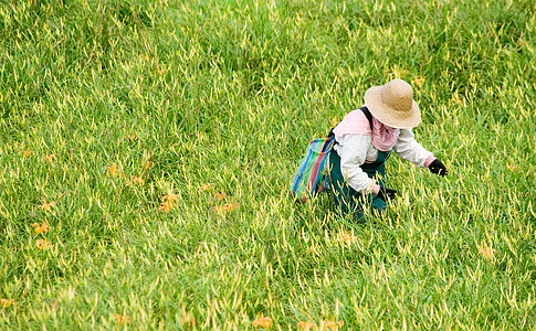 农民务农的虎利农场女士农村橙子老虎食物工作爬坡地平线女性草地图片