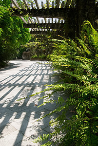 带阴影的走廊植物大厅小路花园路线门厅叶子园艺公园环境图片